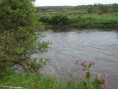 /album/my-local-birding-gallery/river-calder-after-heaviest-rains-in-30-years-jpg/